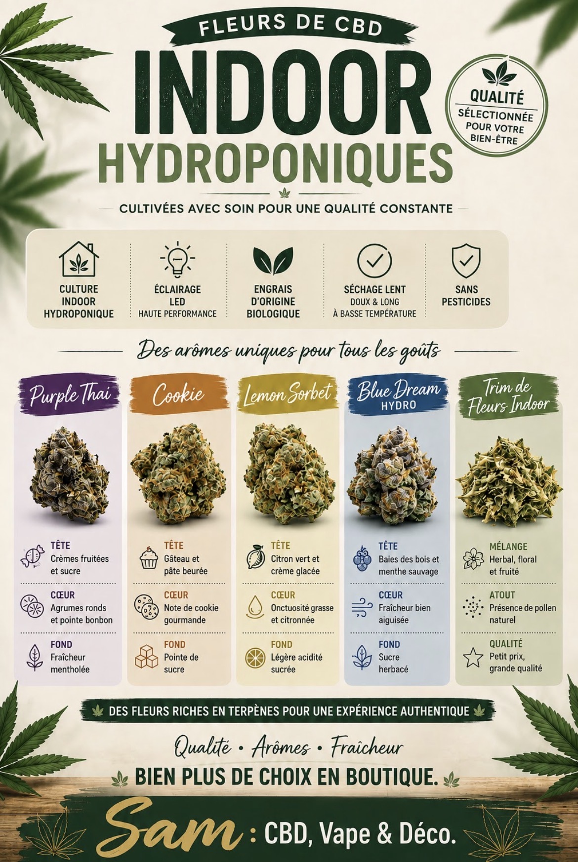 Fleurs indoor — Cultures hydroponiques, séchage lent · CBD bien-être, magasin de La Bourboule 63150